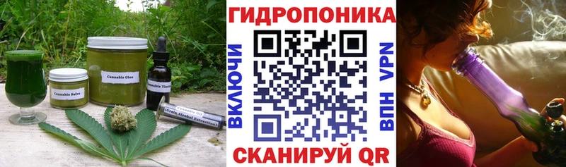OMG маркетплейс  где можно купить   Новомичуринск  Cannafood марихуана 