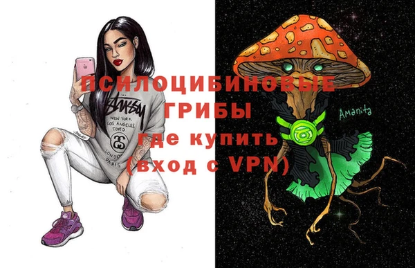 хмурый Бронницы