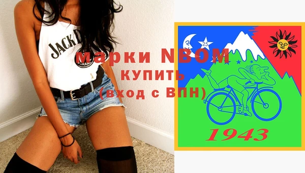 хмурый Бронницы