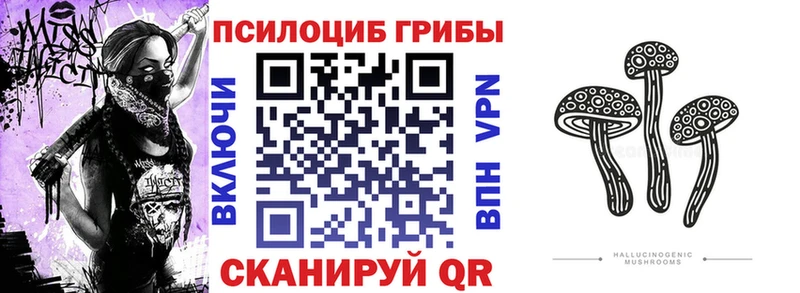 Галлюциногенные грибы Magic Shrooms  купить наркотики цена  Новомичуринск 